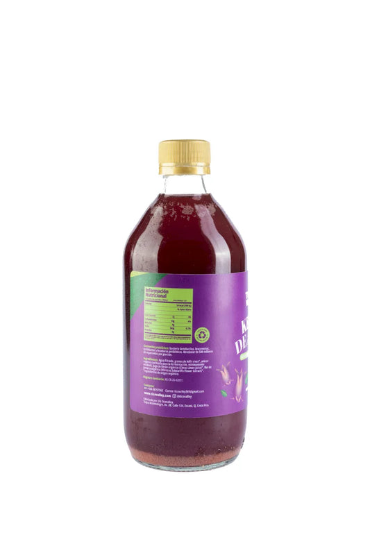 Kéfir de Agua