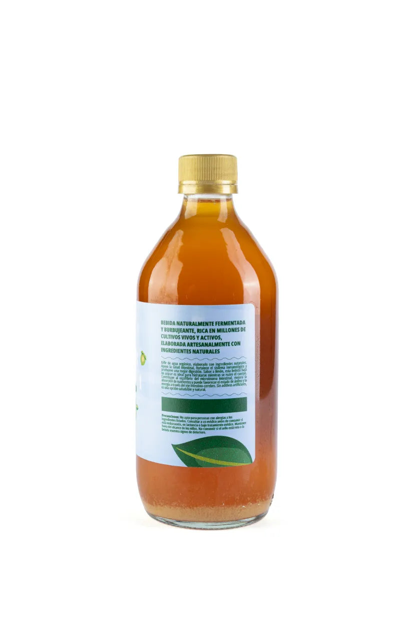 Kéfir de Agua